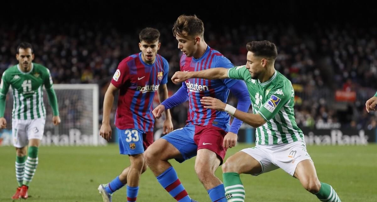 主导很大程 主导很大程