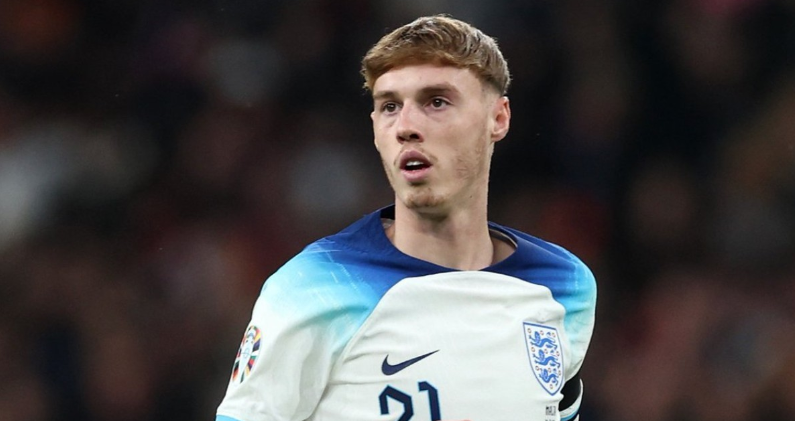 更是对于 更是对于