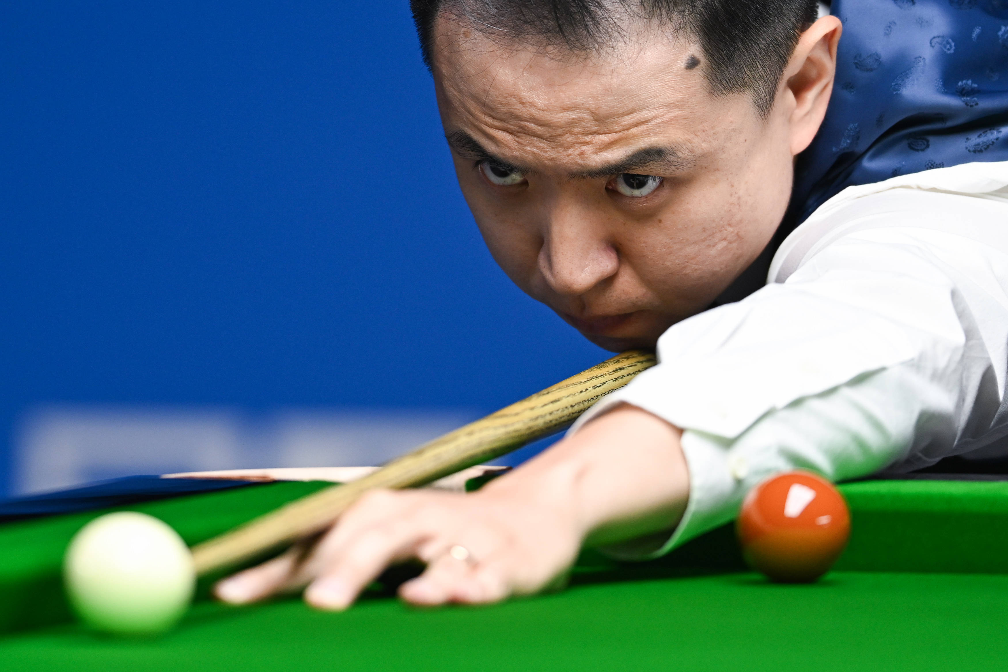 为观众带来 为观众带来