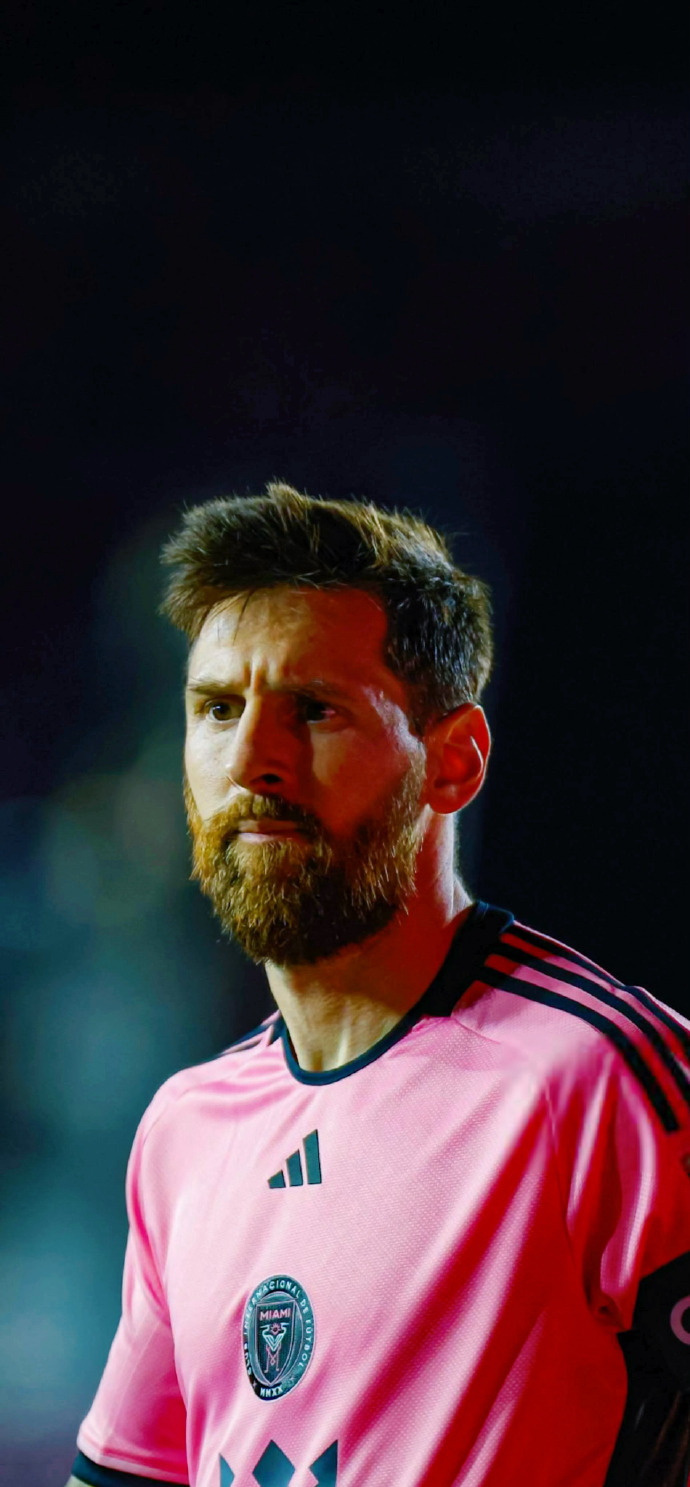 玩性的验证 玩性的验证